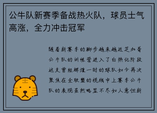公牛队新赛季备战热火队，球员士气高涨，全力冲击冠军