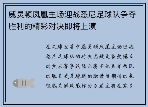 威灵顿凤凰主场迎战悉尼足球队争夺胜利的精彩对决即将上演